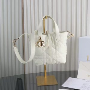 Dior crossbody bag